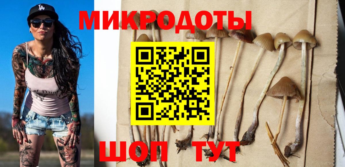 Галлюциногенные грибы Magic Shrooms  Вход с VPN  Лосино-Петровский 