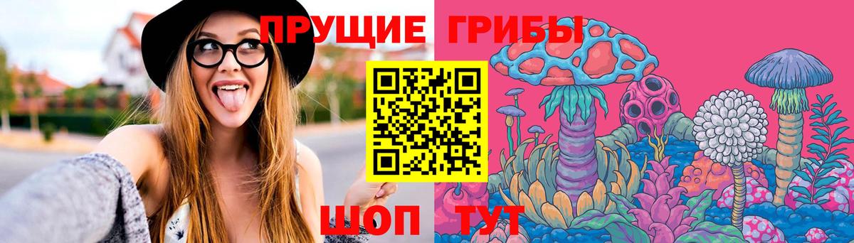 Псилоцибиновые грибы прущие грибы Лосино-Петровский
